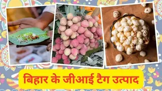 GI Tag in Bihar🏷️ बिहार के GI टैग उत्पाद – पहचान जो गौरव बढ़ाए