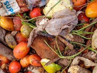 Food Waste Index Report 2024 ~ United Nations Environment Programme (UNEP)
